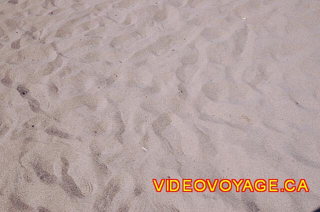 Republique Dominicaine Cabarete Celuisma Cabarete Une sable beige un peu foncé.
