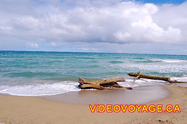 Republique Dominicaine Cabarete Celuisma Cabarete En días con olas grandes, troncos de árboles se mueven en la playa.