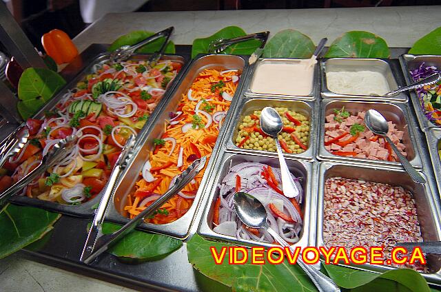 Republique Dominicaine Cabarete Celuisma Cabarete Vegetables, meats and sauces for salads.