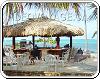 Bar Coral de l'hôtel Bavaro Casino à Punta Cana Republique Dominicaine