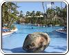 Piscine Principale de l'hôtel Paradisus Punta Cana en Punta Cana Republique Dominicaine