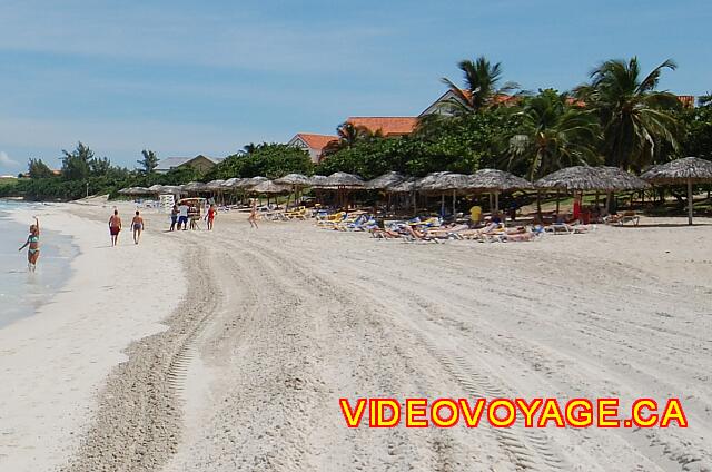 Cuba Varadero Breezes Bella Costa Several umbrellas on a great distance to the east. A beach cleaned mechanically.