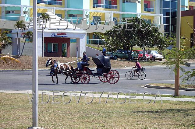 Cuba Varadero Bellevue Palma Real El hotel se encuentra al principio de la ciudad de Varadero, muchas actividades son avalaible a 200 metros.