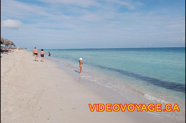 Cuba Varadero Playa Alameda Un sable blanc fin. De l'algue en suspension à l'entrée dans la mer.