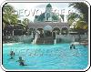 Master pool of the hotel Riu Bambu in Punta Cana Republique Dominicaine